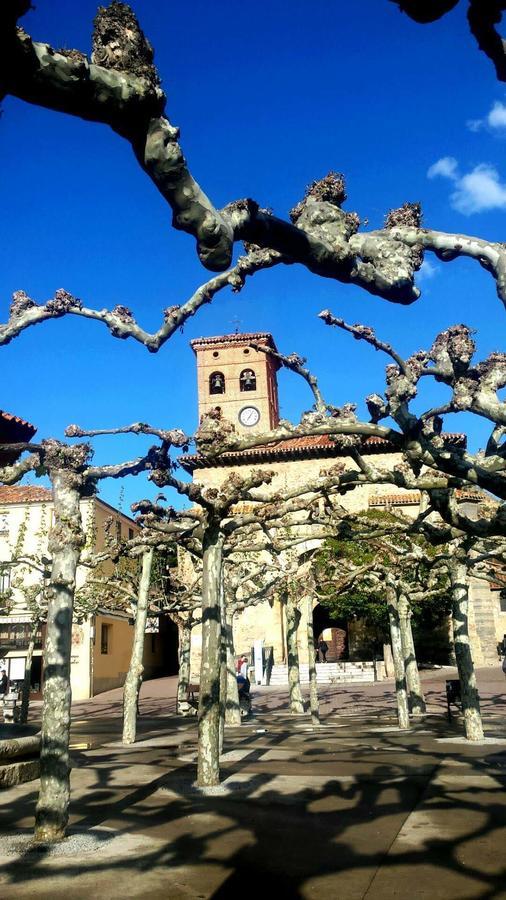 Pension Toni Belorado Dış mekan fotoğraf